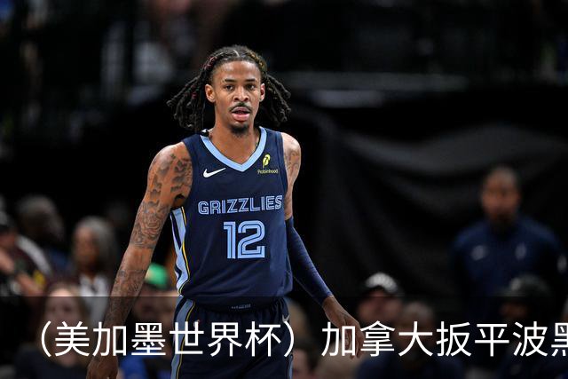（美加墨世界杯）加拿大扳平波黑 获队史世界杯首分